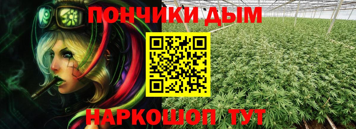 Бошки Шишки Bruce Banner Великий Новгород